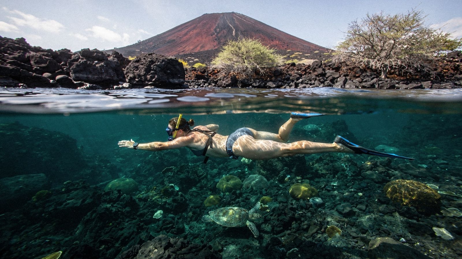Turtle Town snorkeling