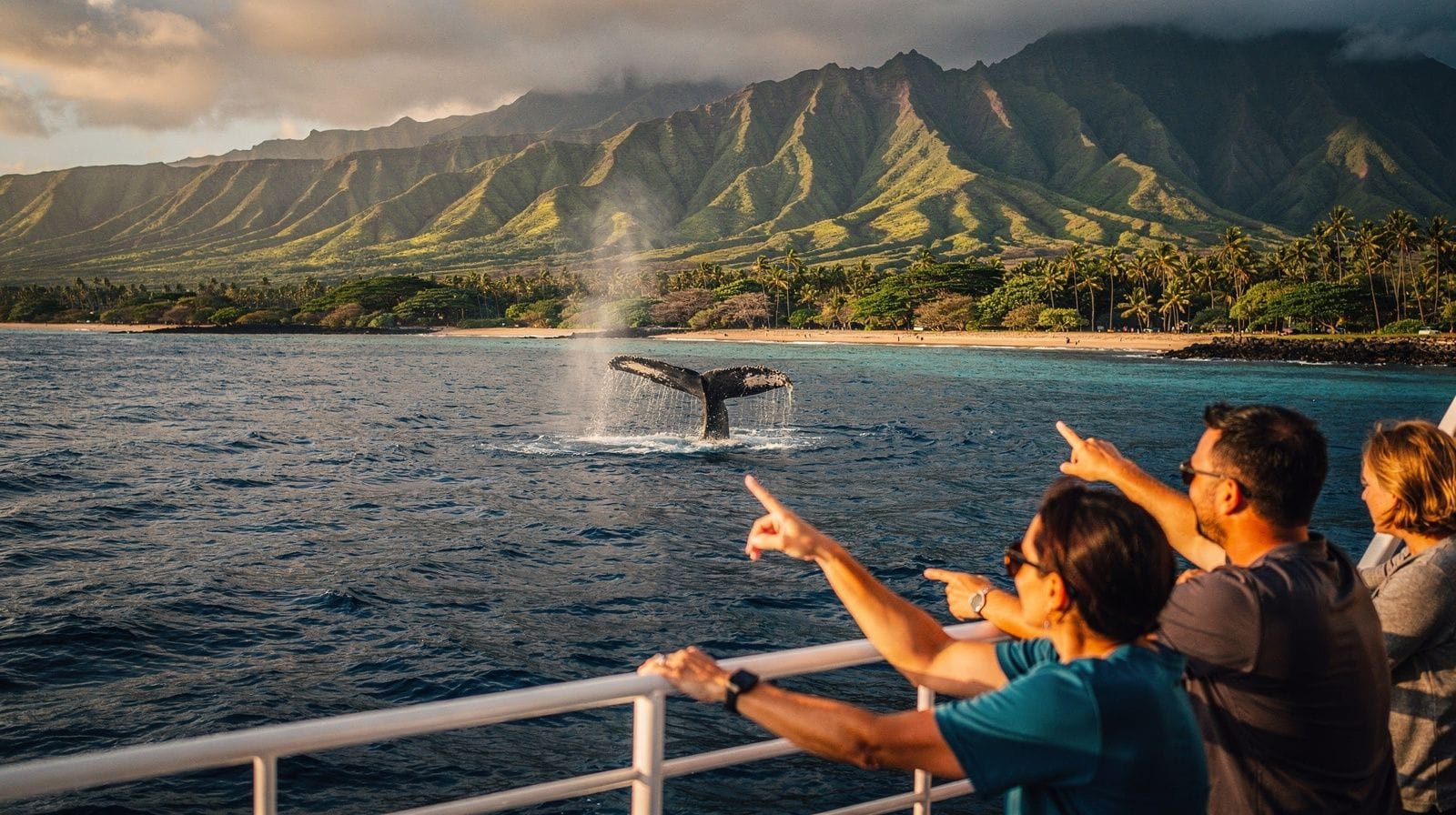 Whale and dolphin watching