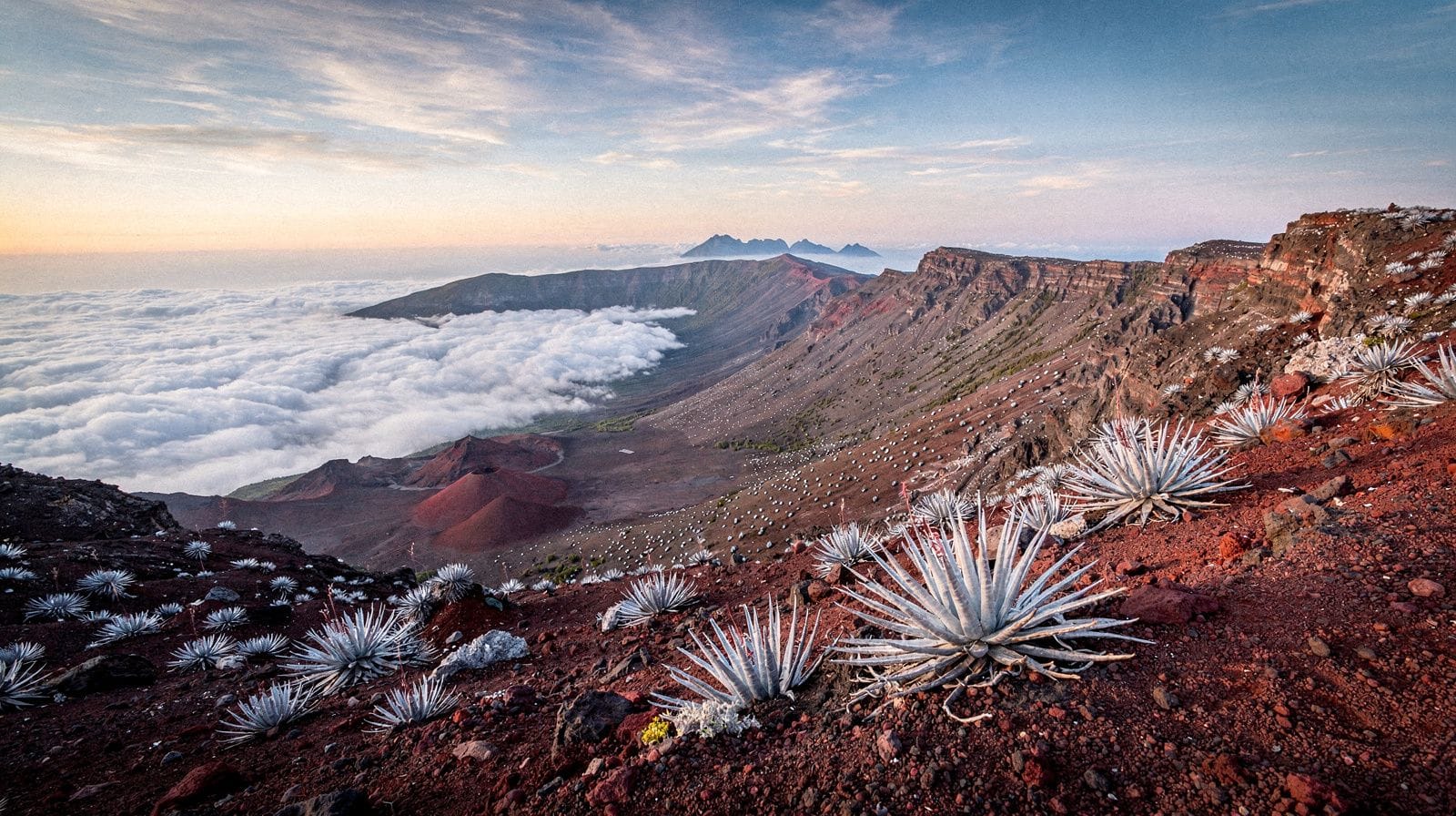 Haleakala & Upcountry