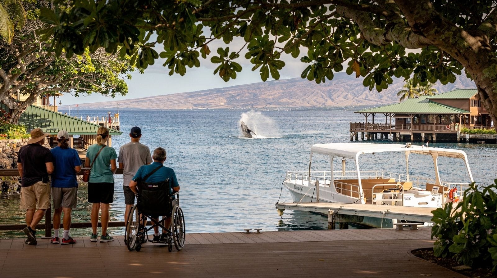 Accessible Tours and Attractions in Maui
