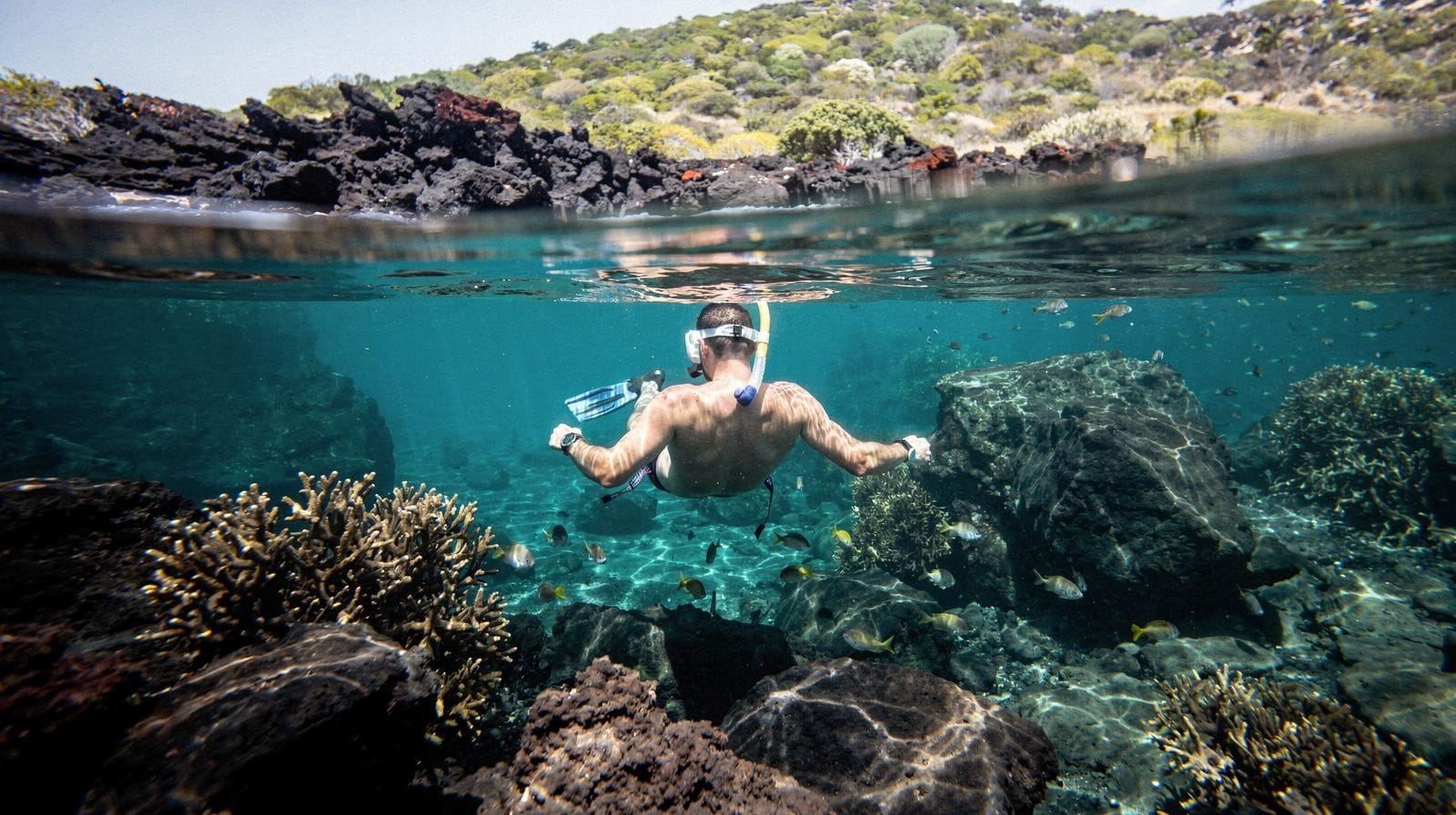 Best Month to Visit Maui for Snorkeling