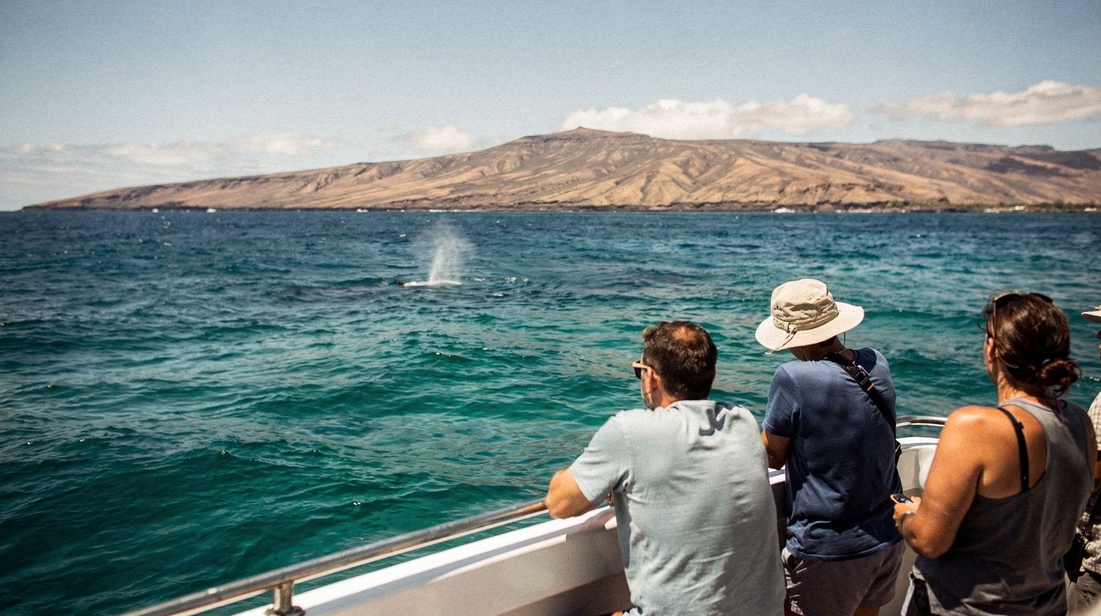 Best Time for Whale Watching in Maui