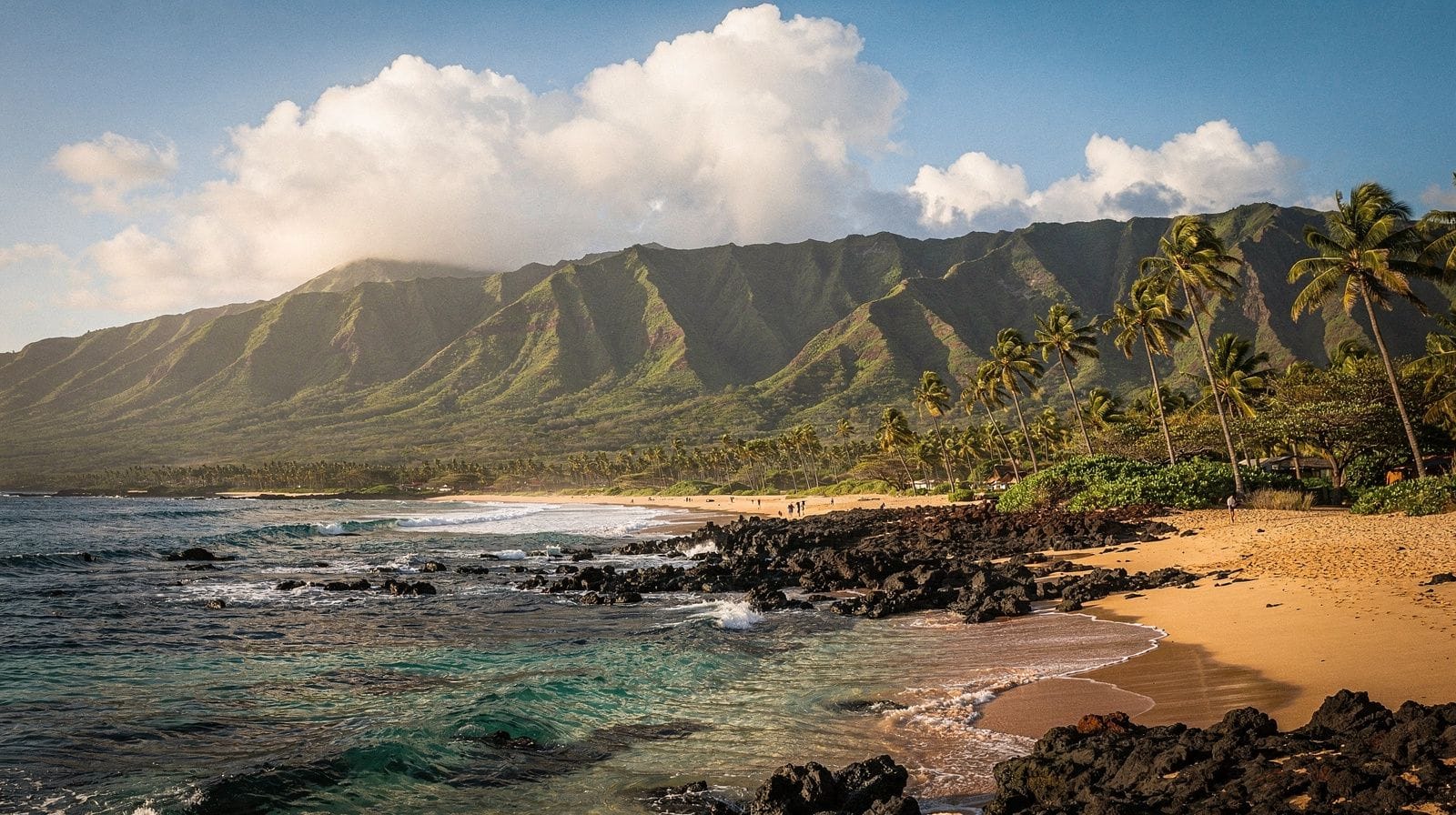 Best Time to Visit Maui