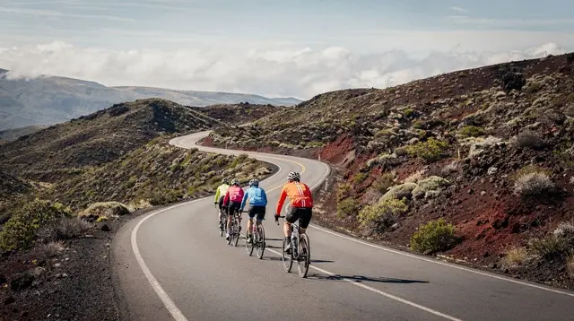 Haleakala Bike Tour Without Sunrise: The Daytime Option