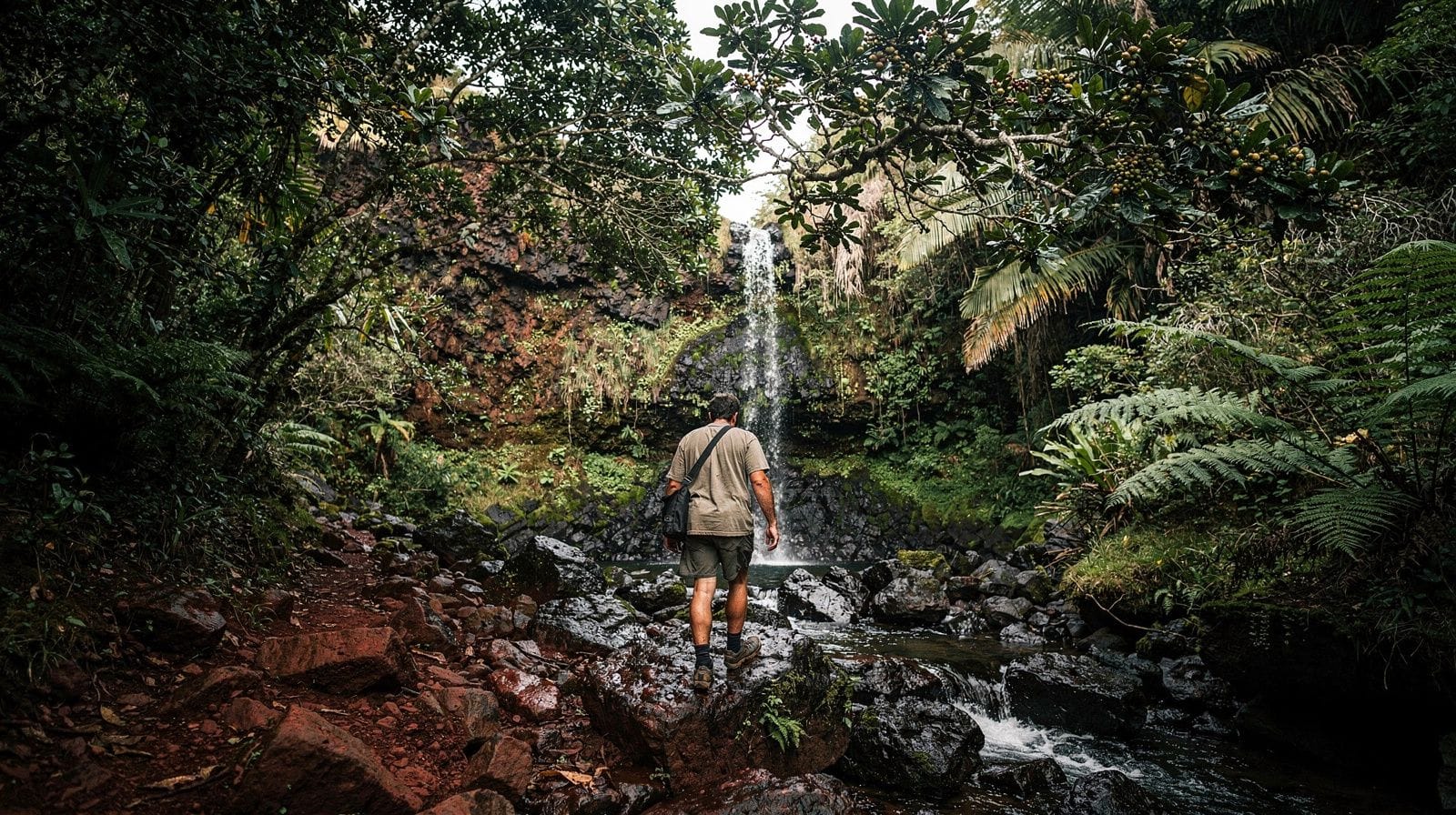 Makamakaole Falls Hike: A Waterfall Near Kahului and Wailuku