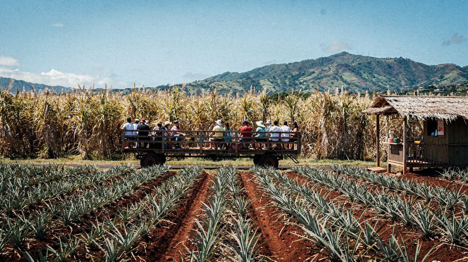 Maui Tropical Plantation Tour: What to Expect in Central Maui