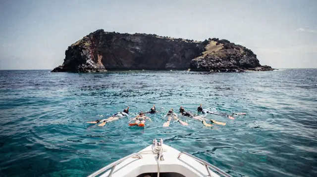 Molokini Snorkeling: Early Morning vs. Afternoon Tours