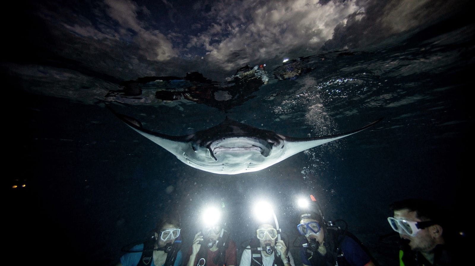 Night Manta Ray Snorkel Tour in Maui: What to Actually Expect