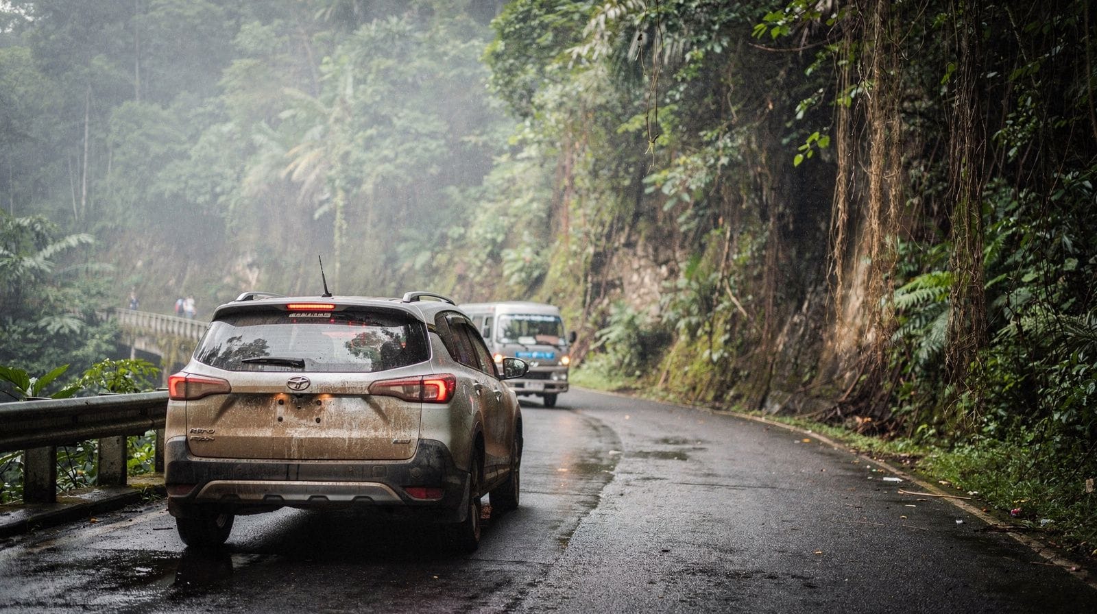 Road to Hana: Guided Tour or Self-Drive?