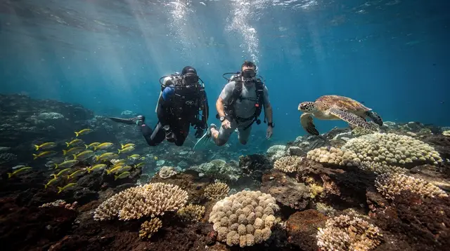 Scuba Diving Tours in Maui: Sites, Certification, and What to Book