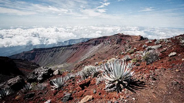Upcountry and Haleakala Day Tour: What to Expect