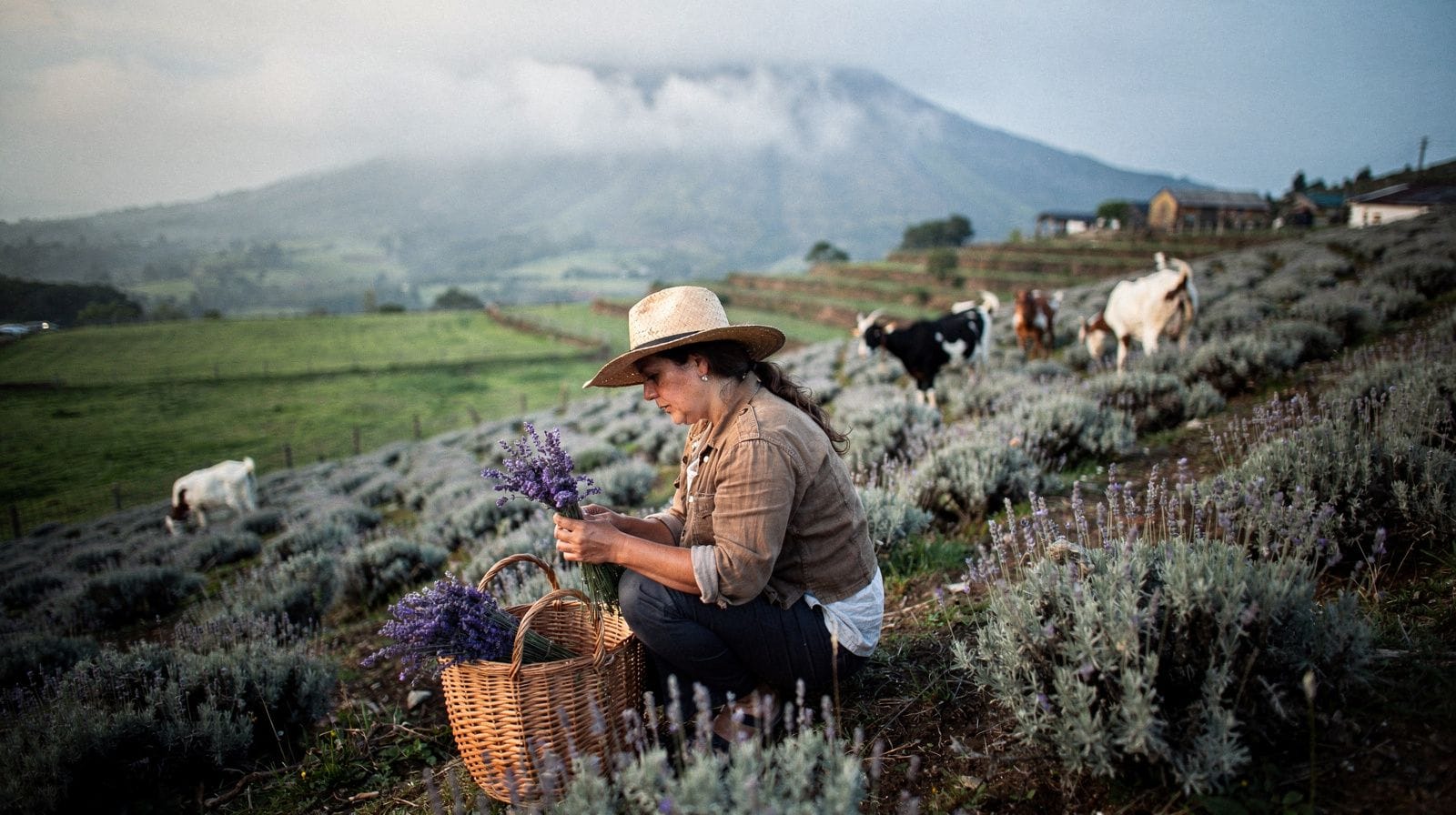 Upcountry Farm Tours Near Kula, Maui
