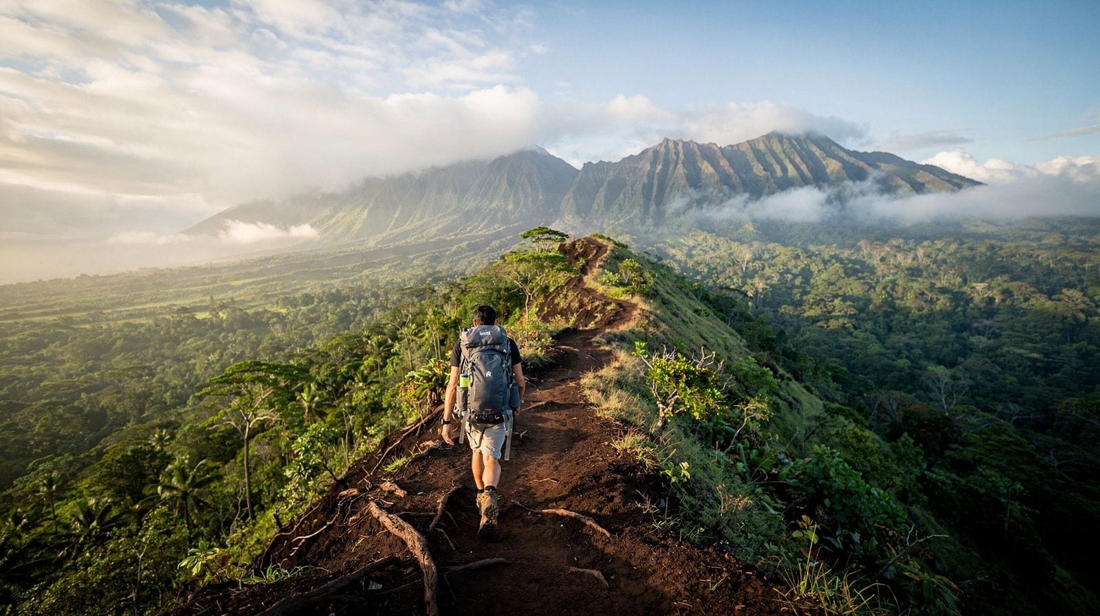 Waihee Ridge Trail: Central Maui's Toughest Day Hike